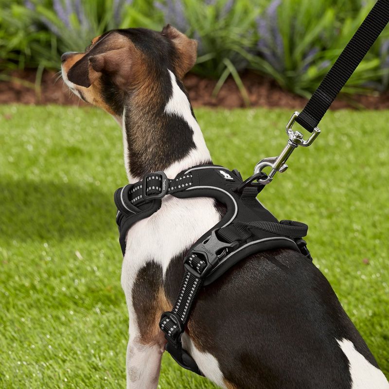 Chai's Choice 3M Reflective Dog Harness