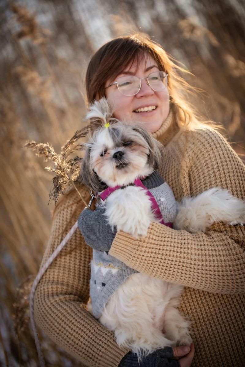 28 Dog Breeds Especially Devoted to Family Life 22 Shih Tzu