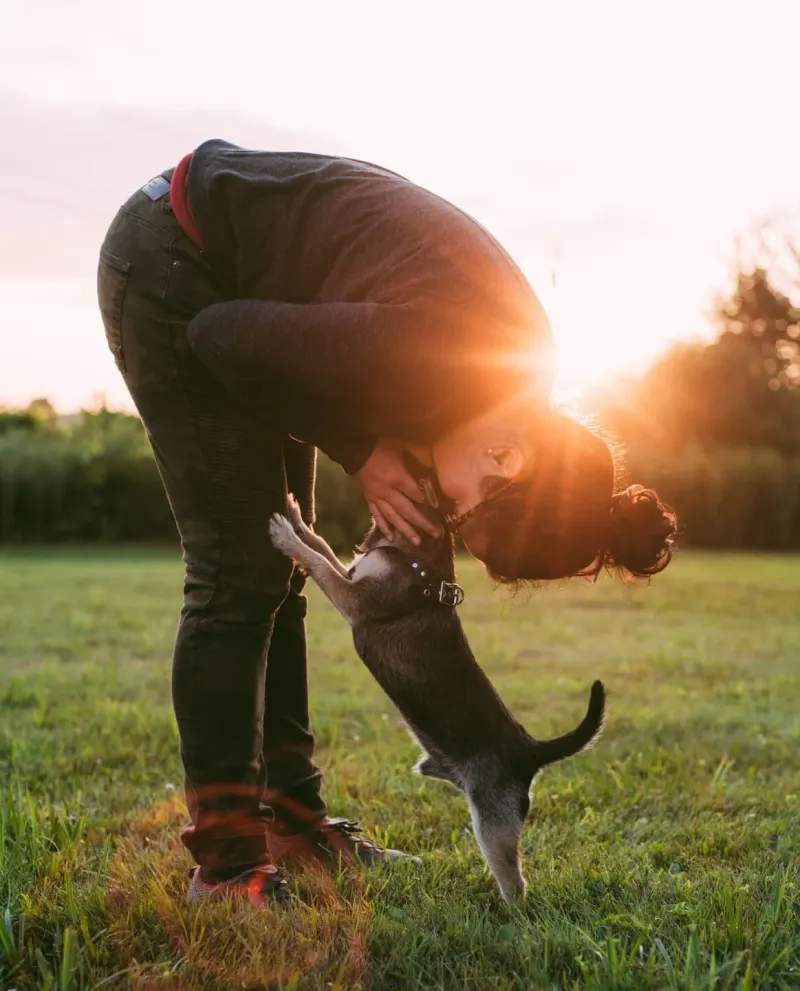19 Dog Behaviors That Show How Well They Understand Human Emotions 13 Recognizing and responding to praise versus scolding
