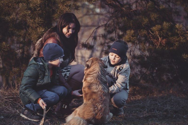 18 Proven Reasons Dogs Are Humanity’s Most Faithful Companions 15 Great with Children