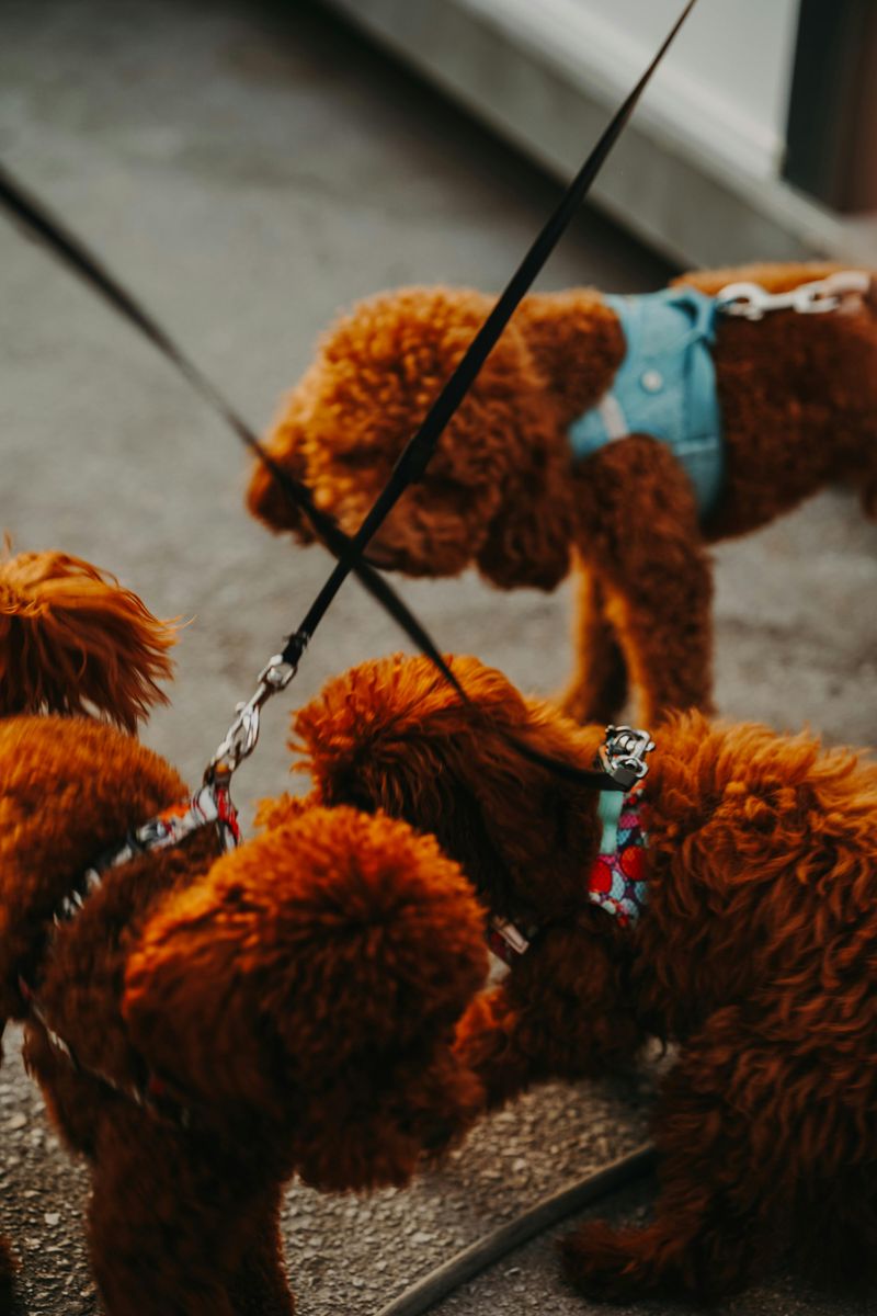 Available in three sizes