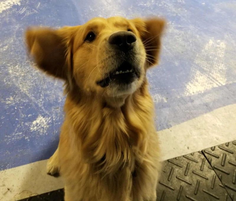 The Squeaky Timing Trap