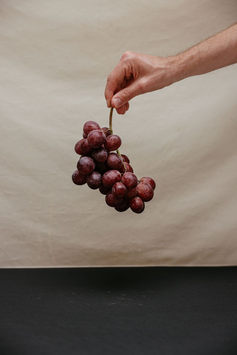 Every dog owner should know these 13 dangerous foods before it's too late 3 Grapes
