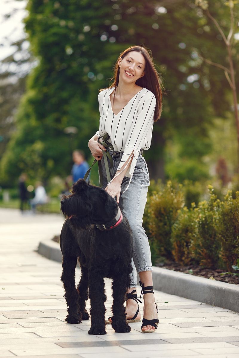 A structured lifestyle suits these 11 dependable dog breeds surprisingly well 4 Giant Schnauzer