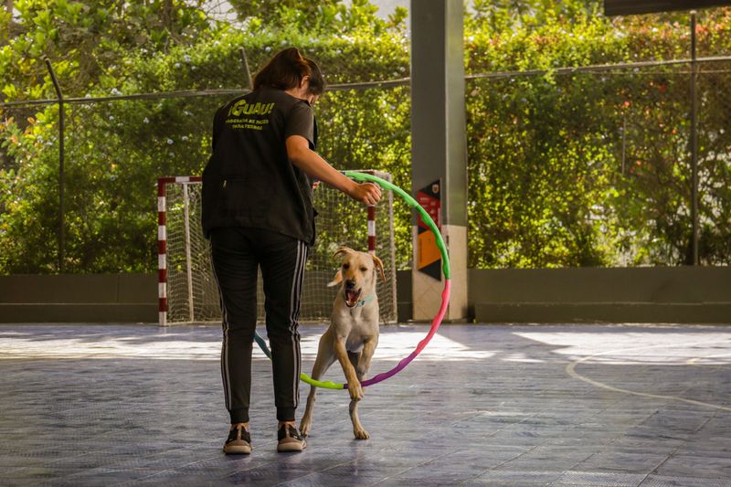 Pulling on the leash usually stops once you fix these 8 walking habits of your own 8 Practicing only in hard places