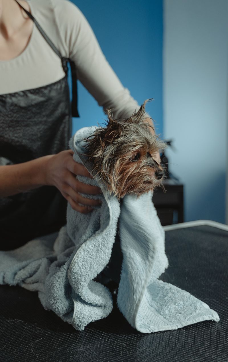 If your dog hates baths, these 9 changes make grooming day peaceful again 8 Keep Sessions Short