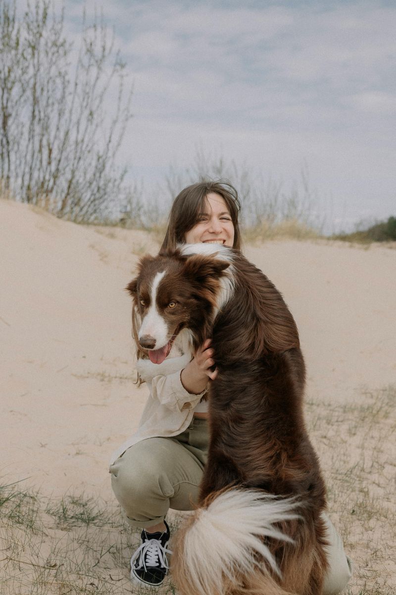 28 Dog Breeds That Show Remarkable Empathy Toward Their Owners 5 Border Collie