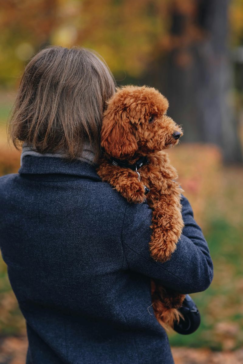 Excellent emotional support dogs