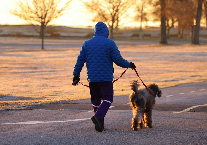 Rushing every walk