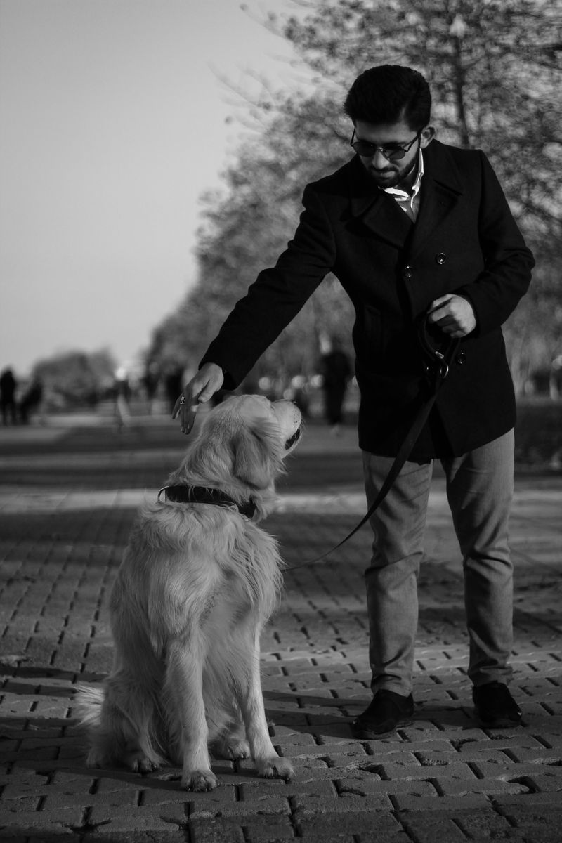 10 practical tips owners use to calm barking and restore peace 5 Avoid shouting back at barking