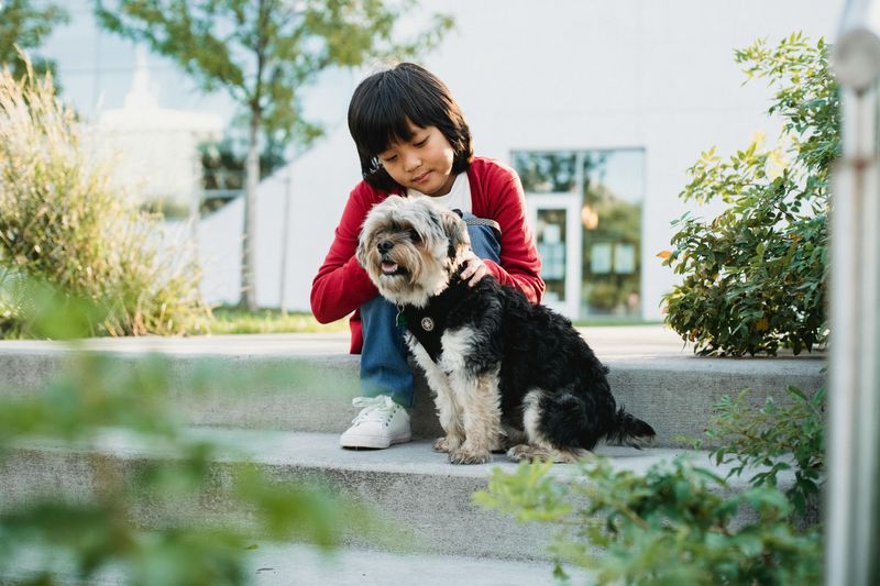 19 Meaningful Ways Dogs Help Improve Our Emotional Health 6 Offering Unconditional Companionship