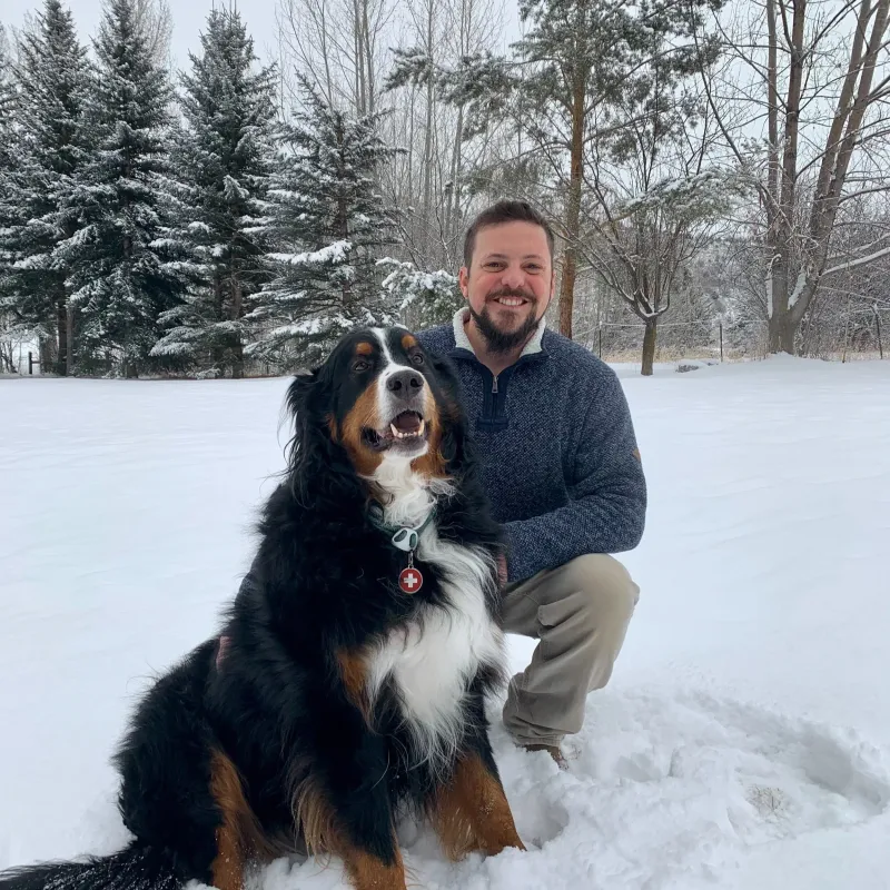 Bernese Mountain Dog