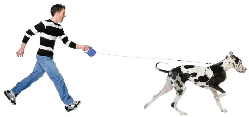 Leash Length Dangers