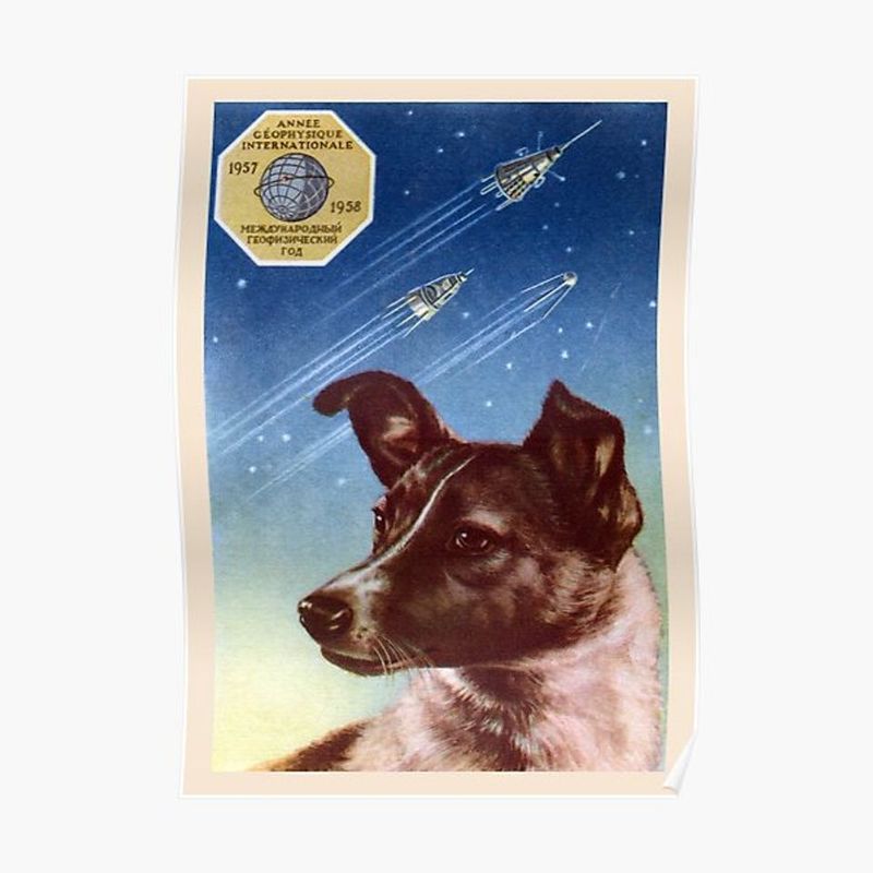 20 Famous Dogs Remembered for Bravery, Loyalty, and Service 4 Laika