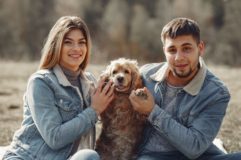 Human closeness isn't optional for these 10 deeply social dog breeds 10 Cocker Spaniel