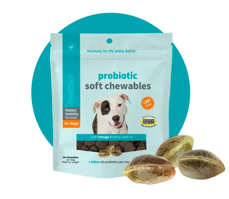 Switching to Dental-Friendly Dog Food