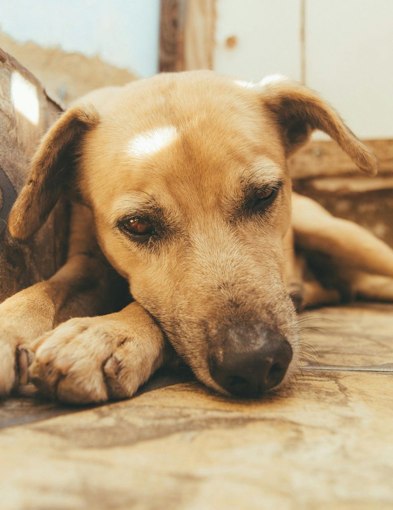 Avoid Overexertion or High-Impact Activities