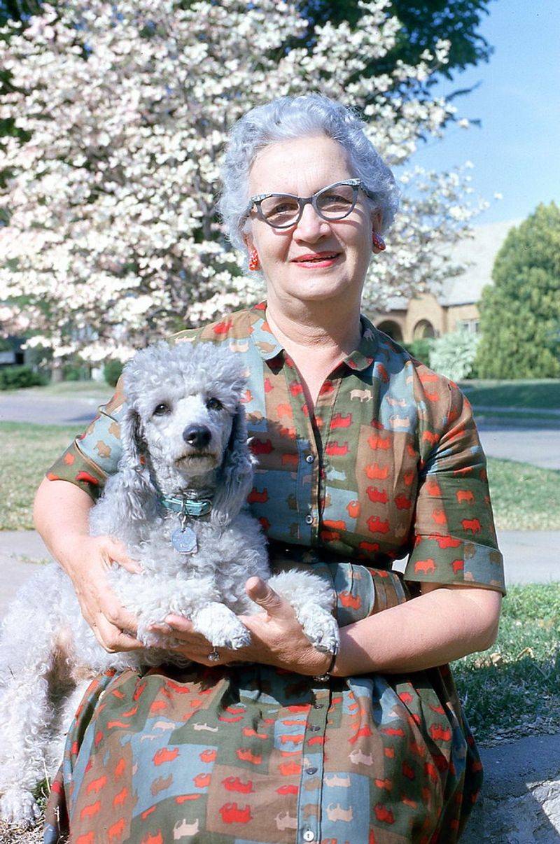 Poodle