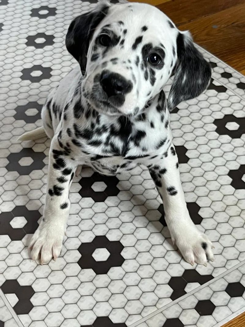 Forgive Easily and Move On