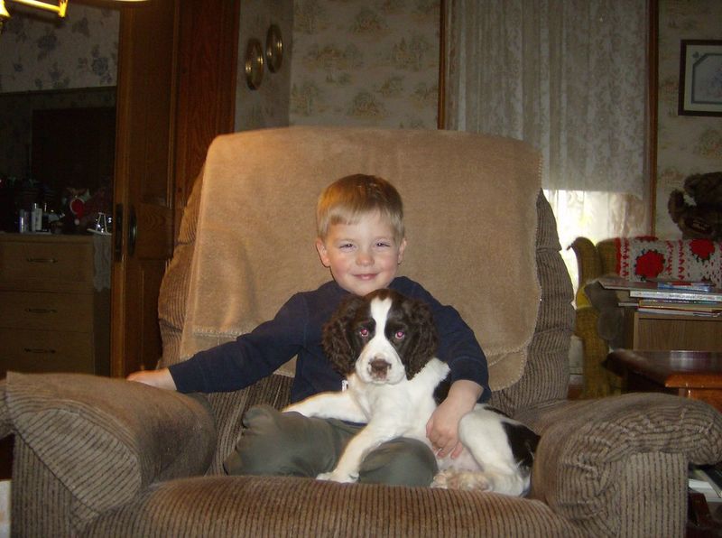 16 Surprising Facts About English Springer Spaniels You Might Not Know 12 They’re Wonderful with Children