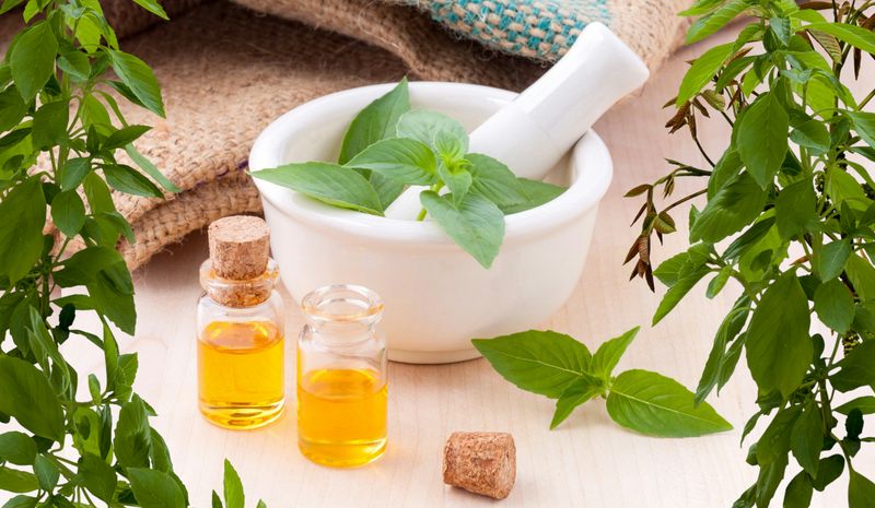 Certain essential oils (tea tree, eucalyptus, peppermint)