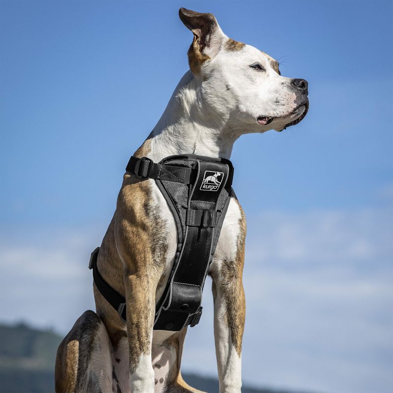 Kurgo Tru-Fit Smart Harness