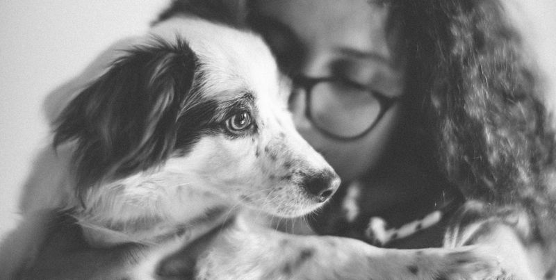 12 Common Human Habits Dogs Quietly Hate (But Tolerate for Your Sake) 3 Hugging Them Too Tightly