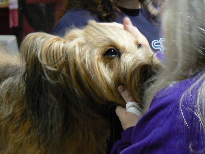 Watching you closely and maintaining eye contact