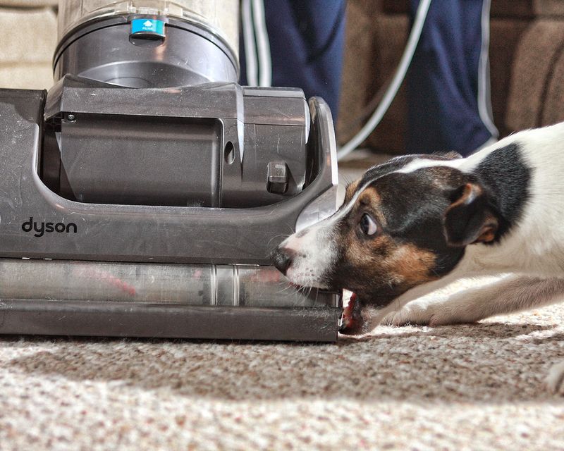 Vacuum cleaners