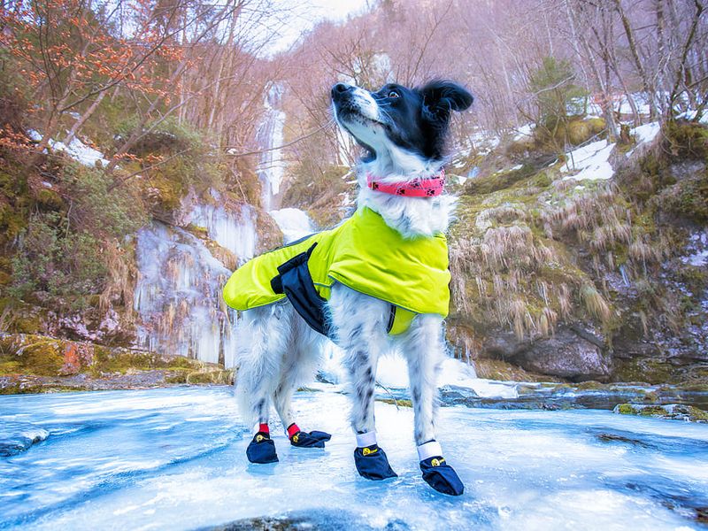 Adventure Windbreaker