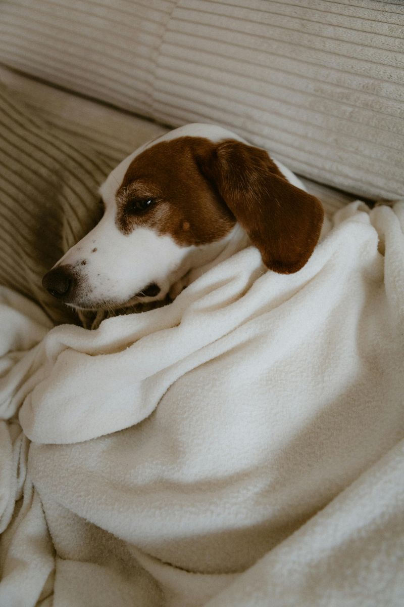 Needing more comfort