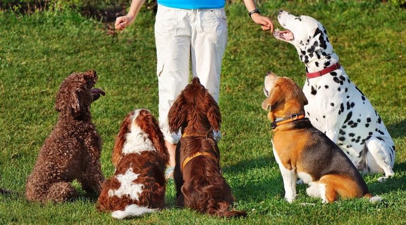 Reward desired behavior promptly