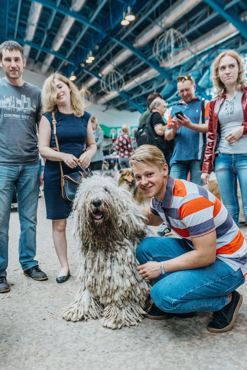 Forget blending in - these 11 unforgettable dog breeds were born to stand out 6 Komondor