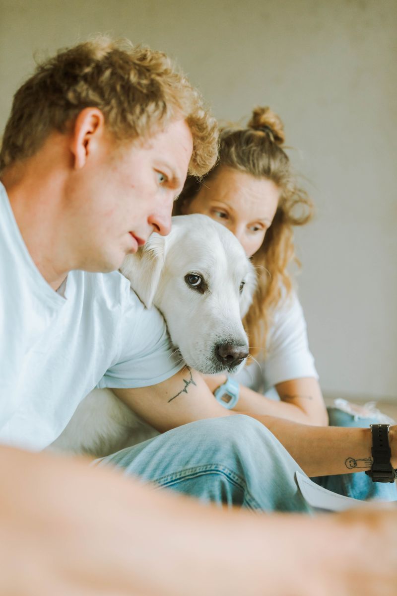 11 subtle signs your dog is deeply loyal - and 2 that have nothing to do with following you around 12 Chooses your company even when other options are available