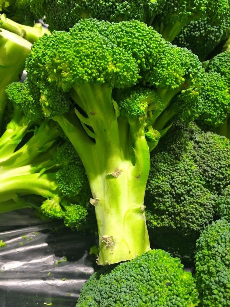 19 Safe and Nutritious Vegetables Dogs Can Enjoy 4 Broccoli