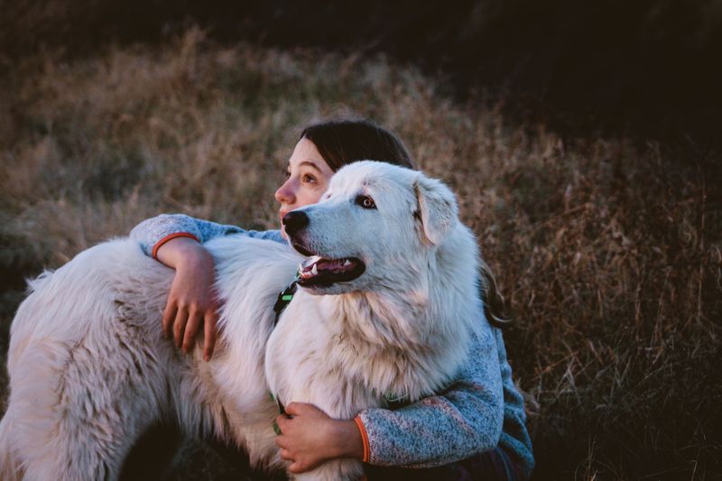 The biggest surprises about giant dog breeds usually happen after adoption 8 Great Pyrenees