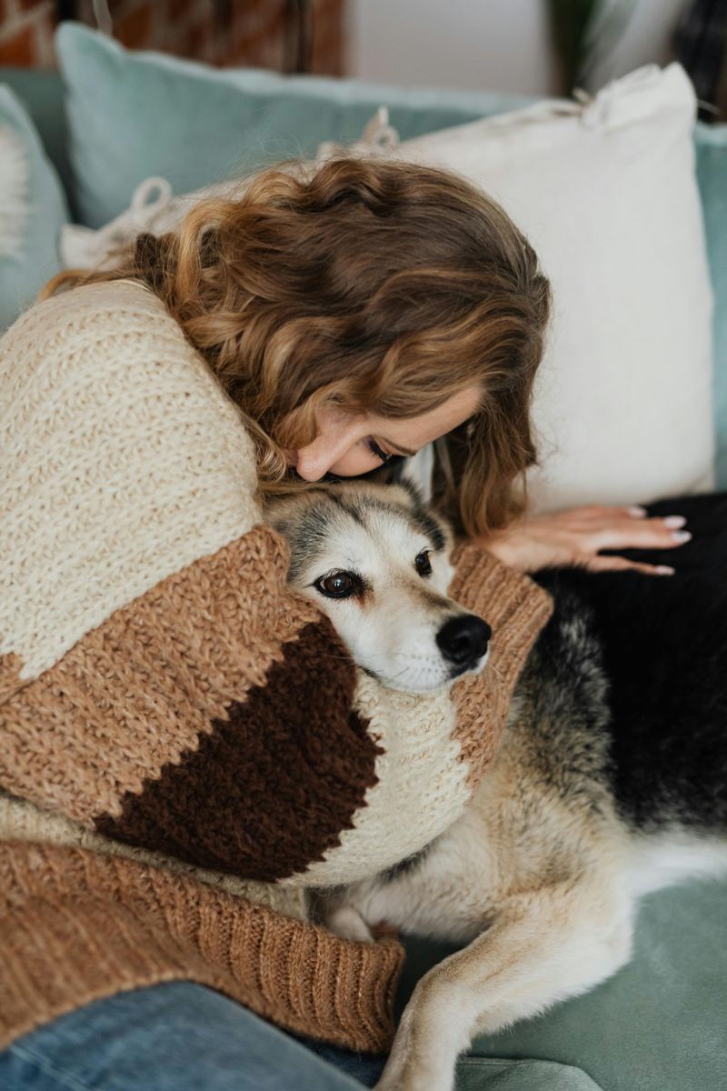 17 Simple Gestures That Strengthen Your Bond with Your Dog 13 Taking Time to Cuddle or Rest Together