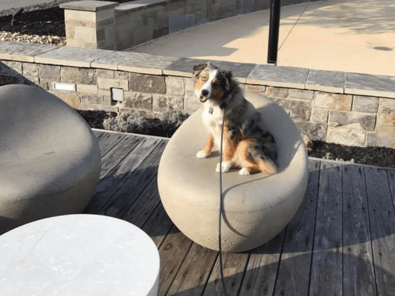 Staying calm under pressure