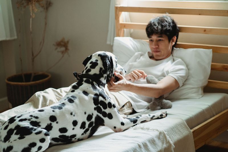 These 14 scents reveal just how extraordinary a dog's nose really is 4 Certain cancers