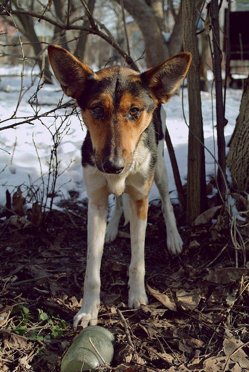 Weight loss or muscle weakness