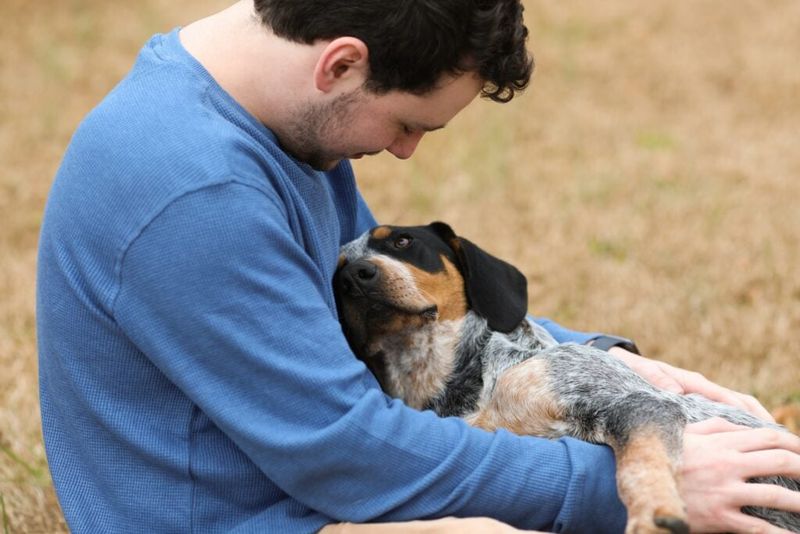18 Quiet Ways Dogs Show Loyalty That Most Owners Completely Miss 14 Pausing When You Stop Talking