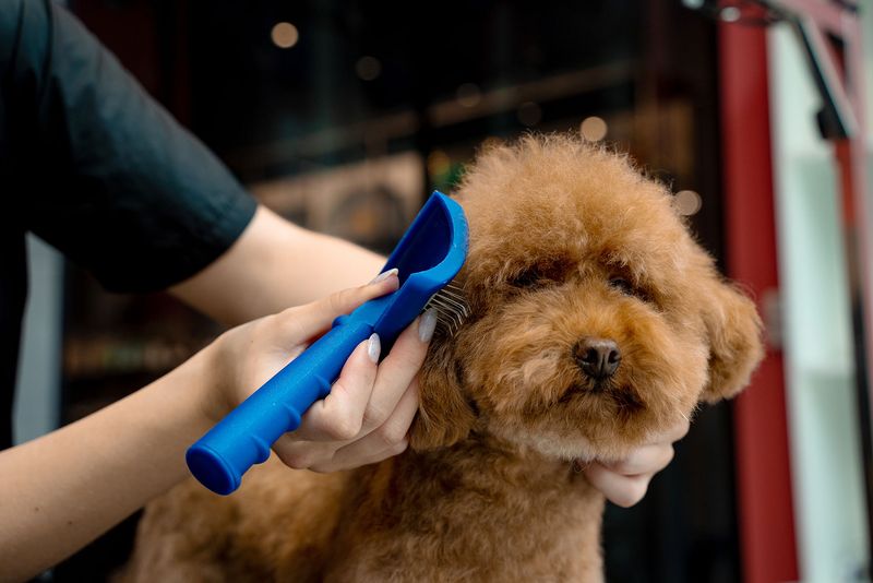 13. Use a Wide-Tooth Comb