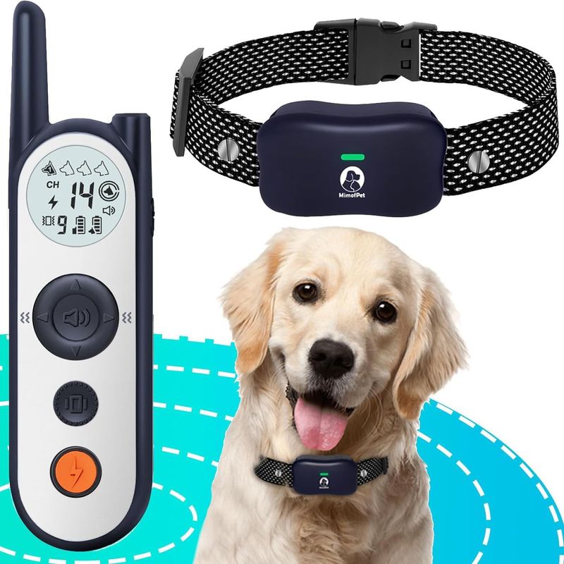 PetSafe Wanderer