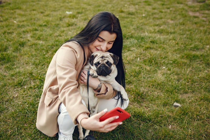 20 Human-Oriented Dog Breeds That Thrive on Close Companionship 19 Pug