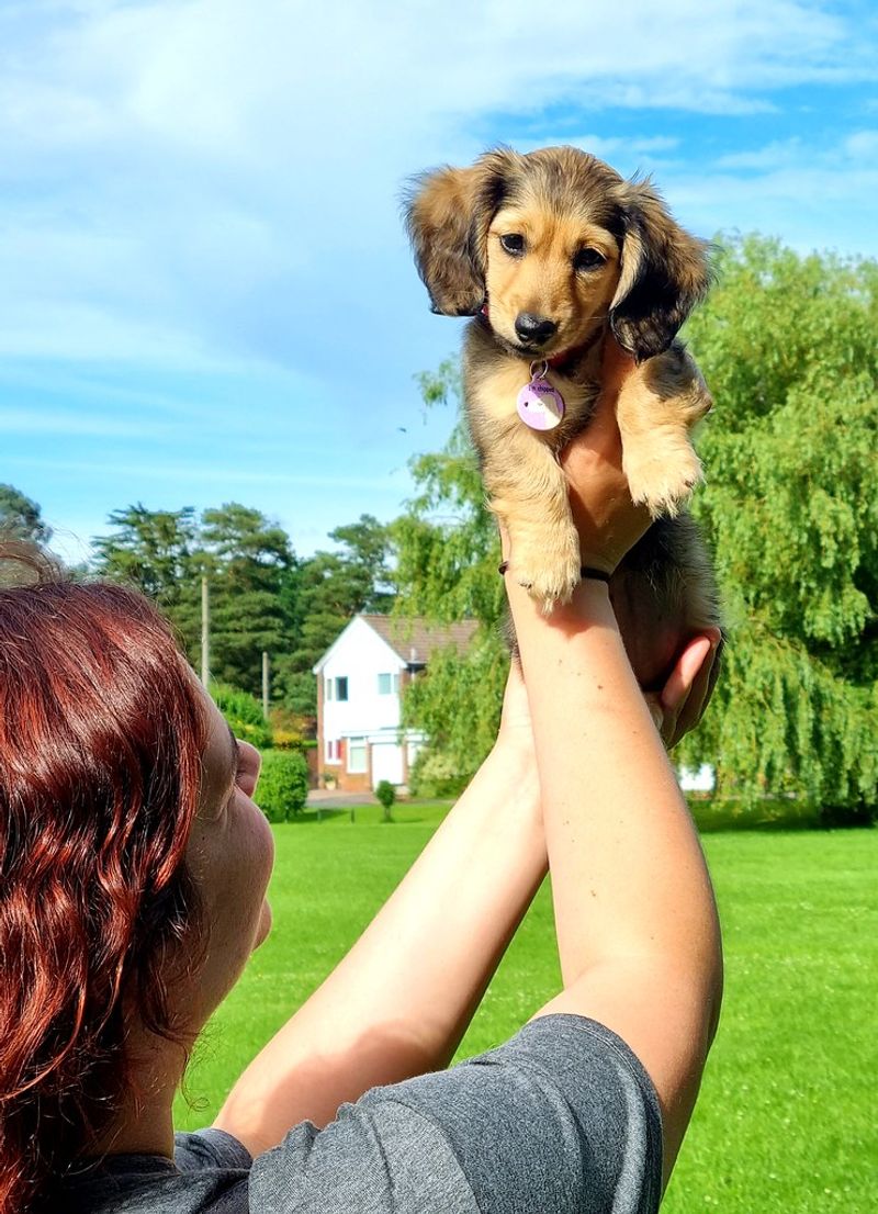 Need Controlled Exercise to Protect Their Back