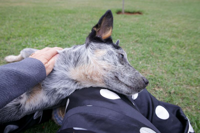 11. Preventing Overprotective Behavior