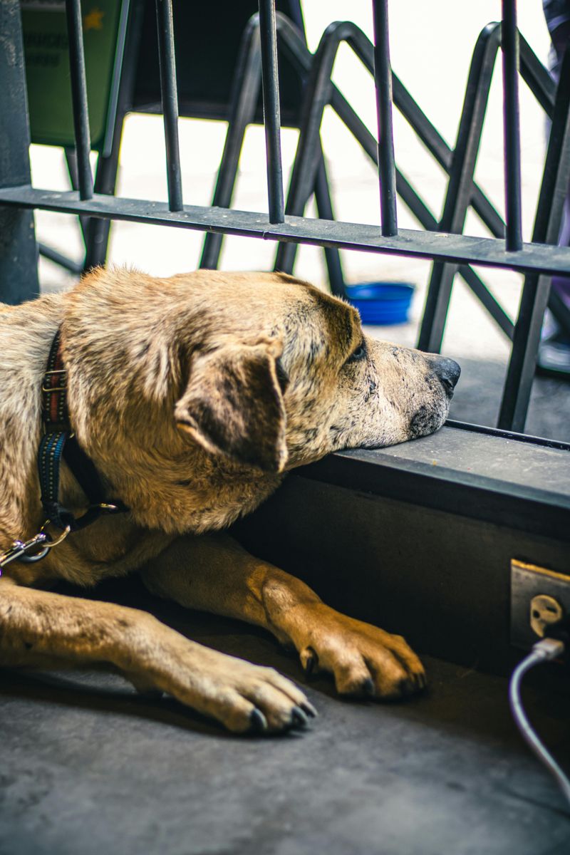 Withdrawal from interaction