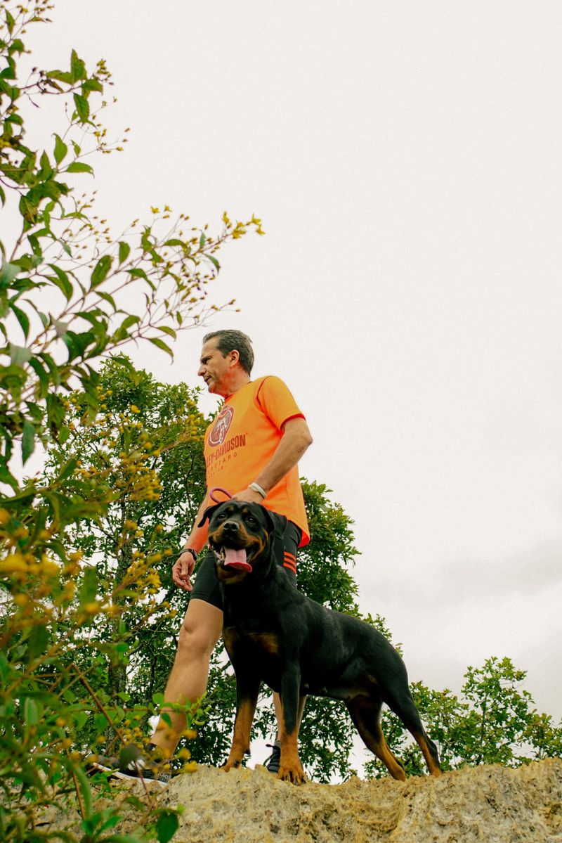 Think the puppy in front of you is the dog you'll have forever? These breeds can rewrite the script 7 Rottweiler - goofball to steady-minded partner