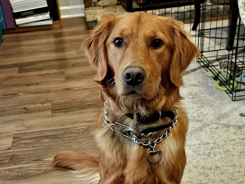 Hiding in Unusual Places