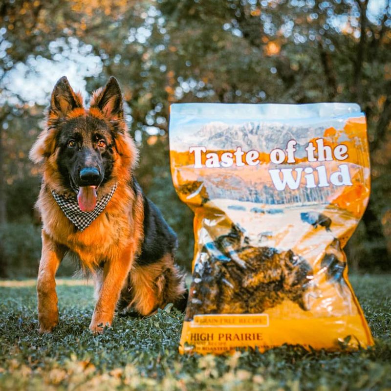 Taste of the Wild High Prairie Canine Recipe